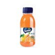 SUCCO ACE SANTAL PET 250ML