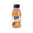 SUCCO PESCA SANTAL PET 250ML