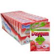 DAYGUM PROTEX FRAGOLA
