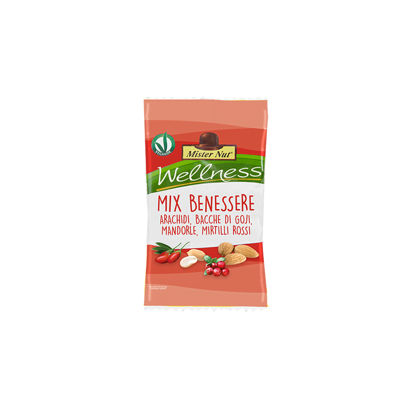 MISTER NUT MIX BENESSERE 25GR